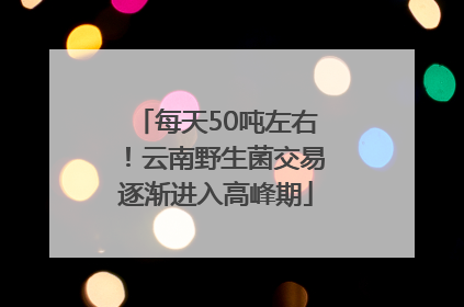 每天50吨左右！云南野生菌交易逐渐进入高峰期